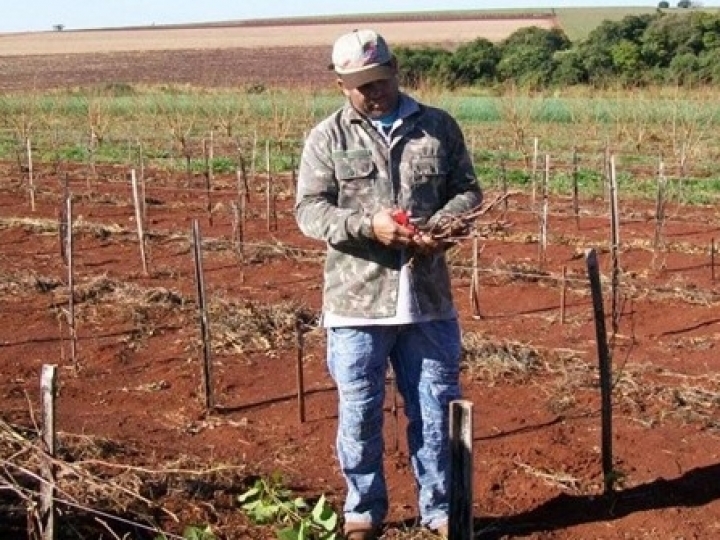 Pesquisadoras do IEA avaliam as primeiras medidas do governo 