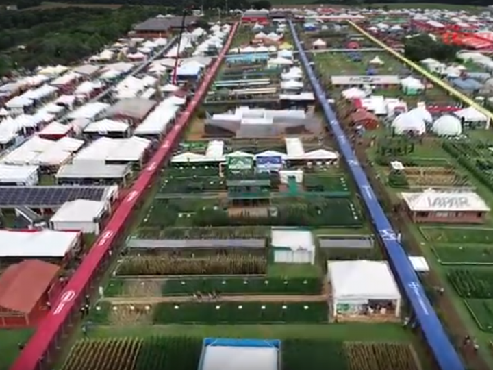 Especial Coopavel 2019