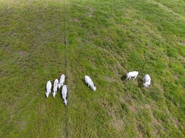 Foto: Fabiano Bastos