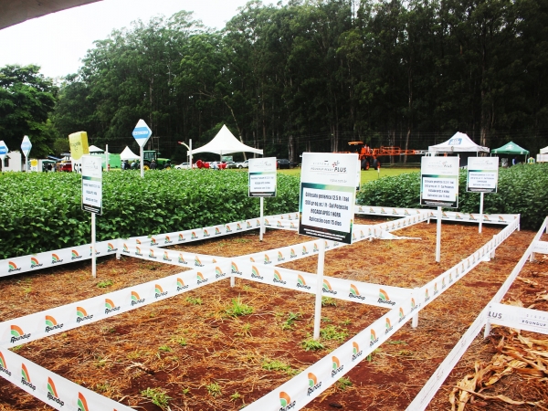 Soluções para soja, milho e cereais serão demonstradas no evento.  Foto: Ozonio Imprensa