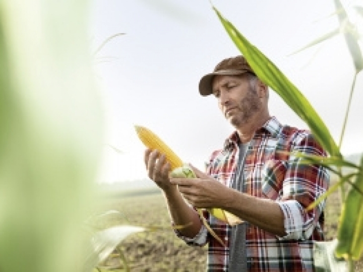 Na 20ª Expodireto Cotrijal, Bayer expõe pela primeira vez portfólio integrado para o manejo no campo