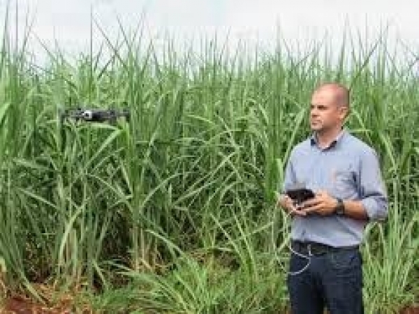 Gabriel Camarinha do AVANCE hub demonstra tecnologia com drone no campo. Foto: Ozonio Imprensa