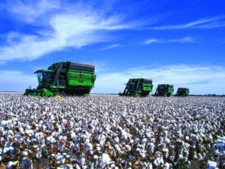 Bayer participa da Bahia Farm Show