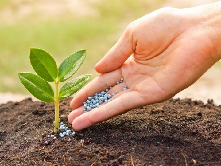Mosaic Fertilizantes lança parceria com startup voltada para o agronegócio