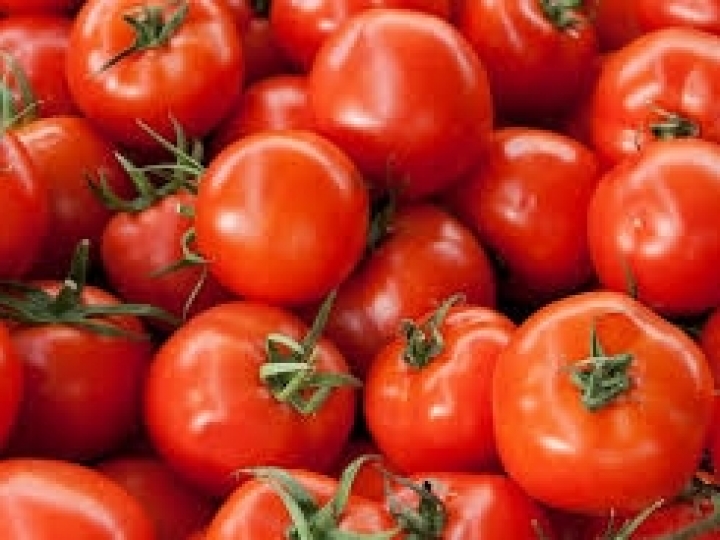 Tomate pode ficar mais barato em maio