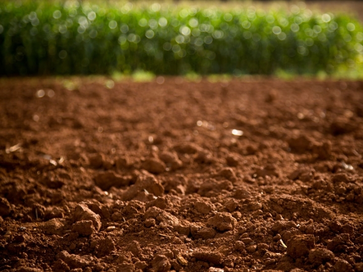 Apenas 10% dos produtores rurais brasileiros dá atenção ao manejo físico e biológico do solo