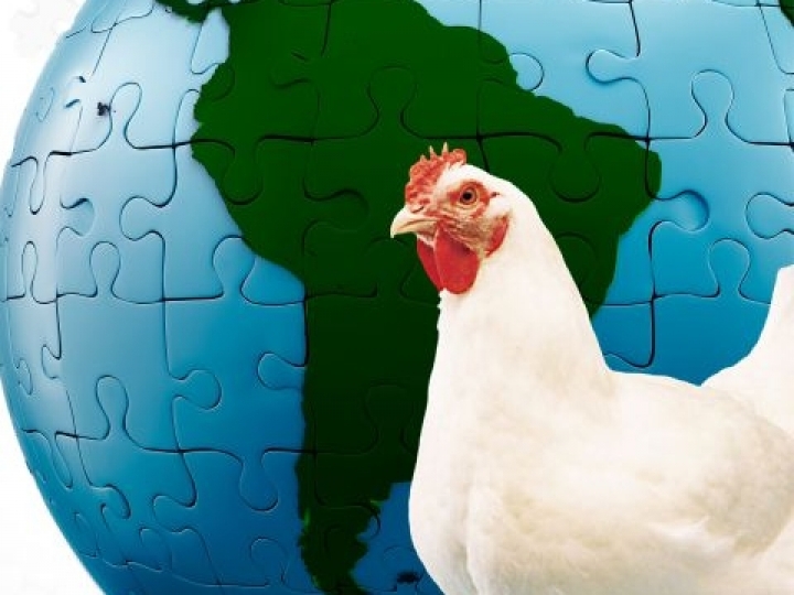 Conferência FACTA WPSA-Brasil 2019 terá palestrantes internacionais, que abordarão o cenário da avicultura no mundo