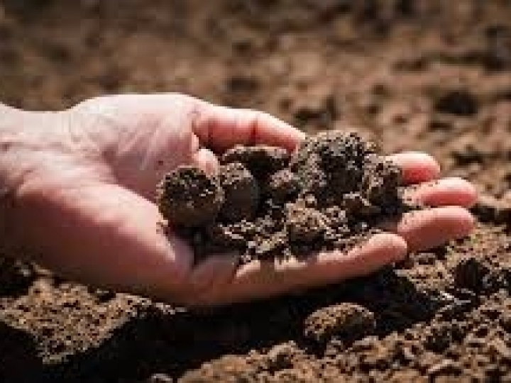 Inovação agroambiental analisará solo com tecnologia usada pela NASA