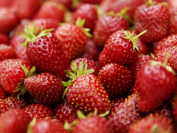 Produção integrada de morango agrega valor à fruta e reduz uso de químicos