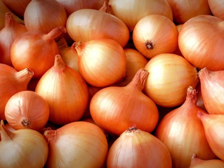 Preço da cebola cai nos principais mercados atacadistas do país
