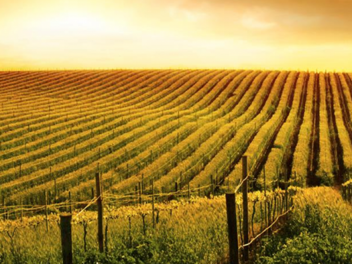 MP 884 assegura longevidade ao CAR e beneficia produtores rurais