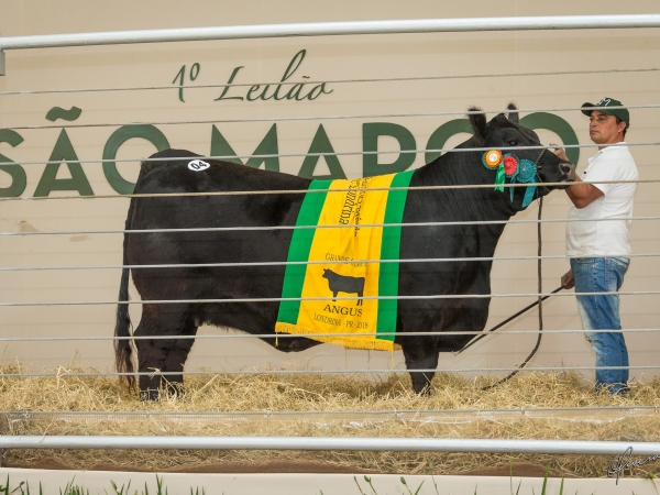 Foto: Gabriel Olivera