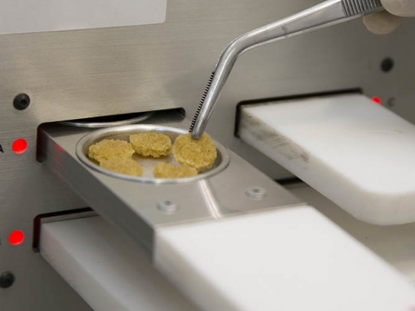 Testes de qualidade da borracha orientam o melhoramento genético da seringueira. Foto: Flávio Ubiali