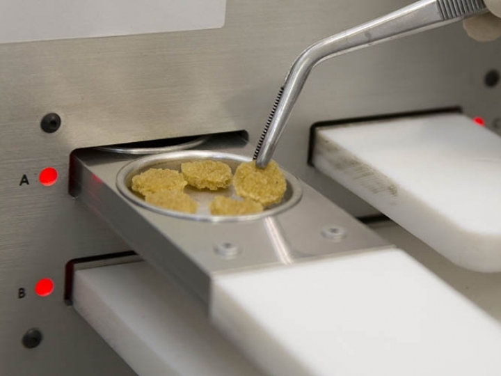 Cientistas usam nanotecnologia para avaliar novos clones de seringueira