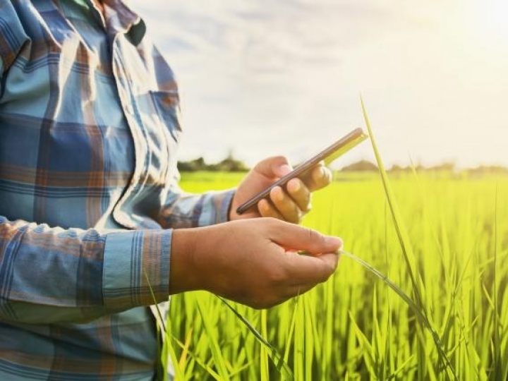 Brasil sedia 1º AgTech French Brazilian Club