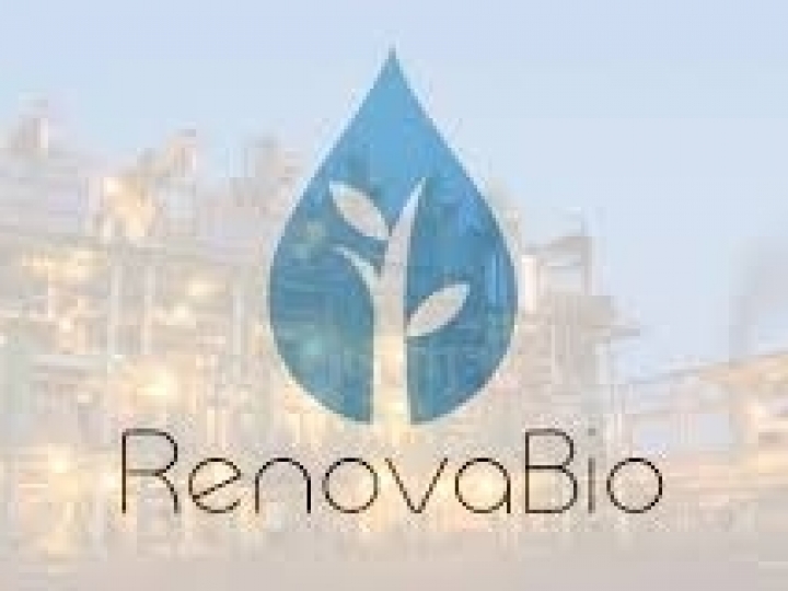 Programa RenovaBio deve injetar R$ 13 bilhões em bioenergia