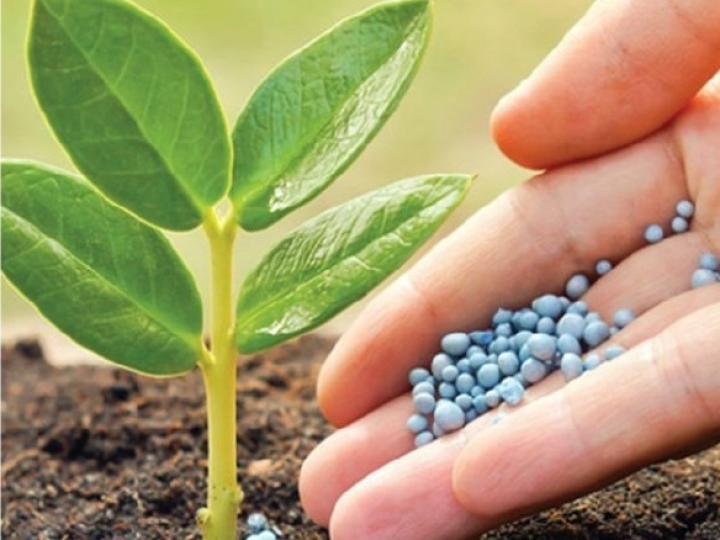 Congresso ANDAV reúne especialistas para debater sobre os novos rumos da distribuição de insumos agropecuários no Brasil