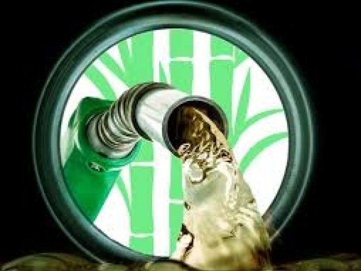  Vendas de etanol hidratado no Centro-Sul registram recorde em maio