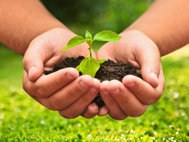 Plataforma de monitoramento DataSafra auxilia a estratégia comercial da indústria de insumos agrícolas