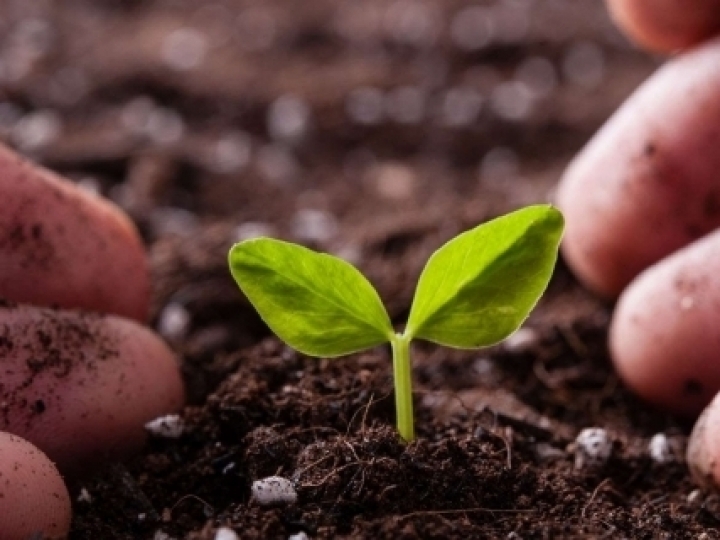 Agência Espacial Europeia reconhece importância do sensoriamento remoto para solos