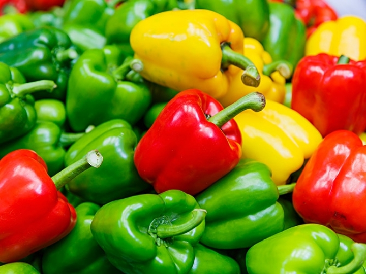 Cultivo sustentável do pimentão para a natureza e o produtor saírem no lucro