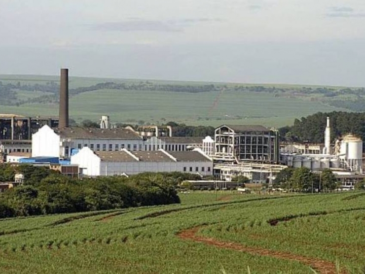 São Martinho estima avanço de 8% no processamento de cana em 2019/20