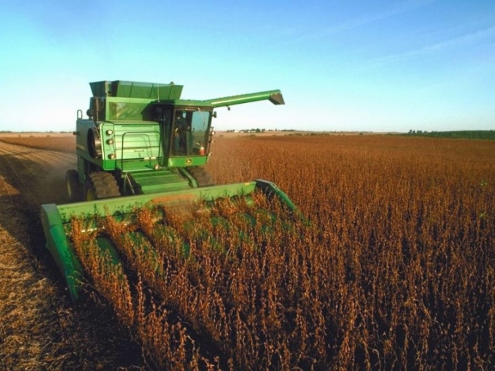 MAPFRE alerta para contratação de Seguro Rural para safra de grãos do verão