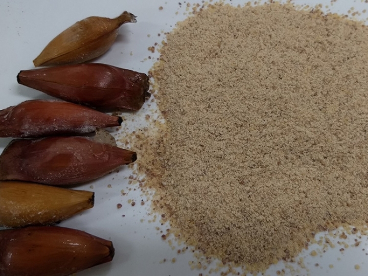 Farinha de pinhão nutritiva e sem glúten