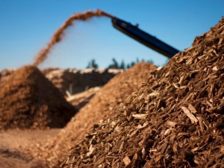 Potencial da biomassa movimenta cogeração de energia