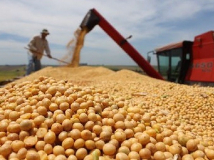 Safra recorde de grãos deve chegar a 240,7 milhões t