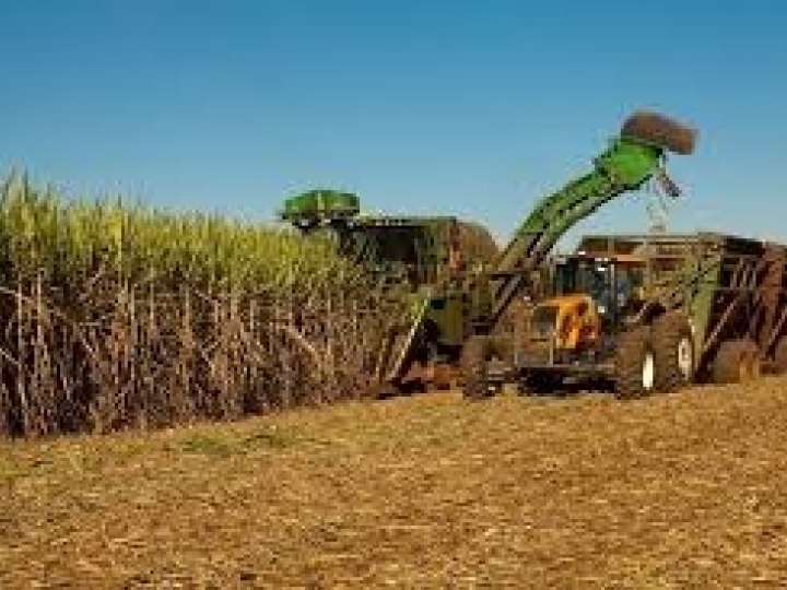 Moagem avança e produção de açúcar diminui 