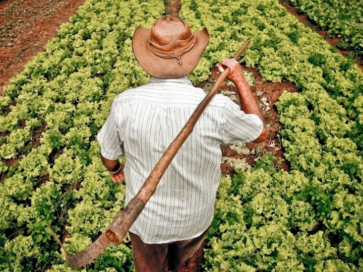 Governo publica produtos da agricultura familiar com desconto em agosto