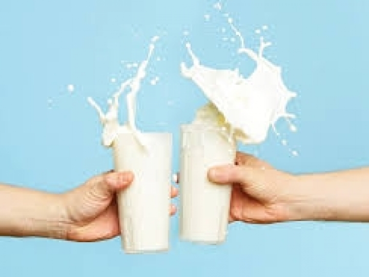 Proteína do leite é modificada em prol da digestão 