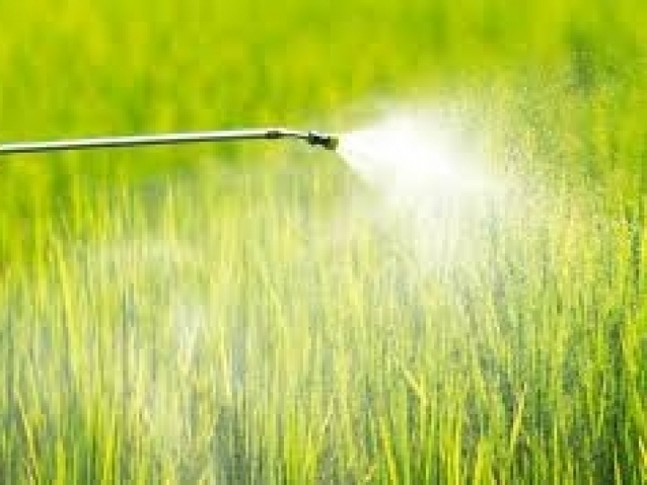 Estudo constata que Japão é o maior usuário mundial de defensivo agrícola