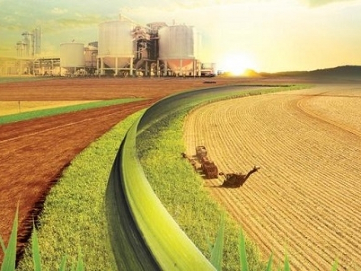 RenovaBio reduzirá 600 milhões de toneladas de carbono da atmosfera até 2020