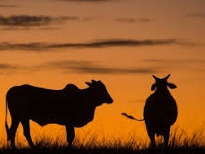 Impactos do acordo Mercosul-União Europeia sobre o agro brasileiro serão analisados em seminário da CSMIA/Abimaq