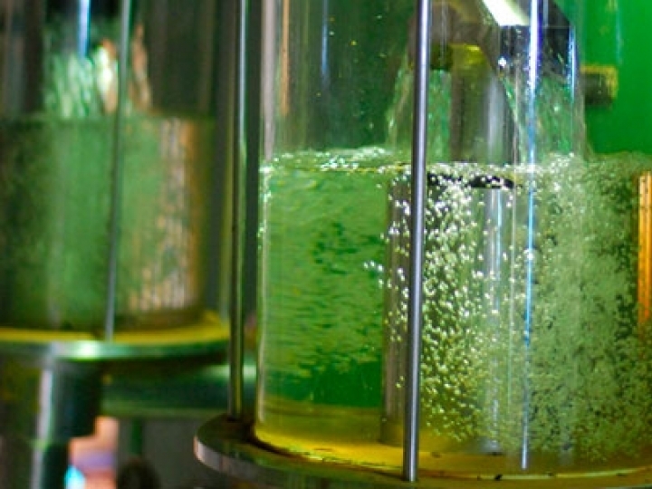 Etanol: Governo concilia liberdade econômica e proteção da competitividade brasileira