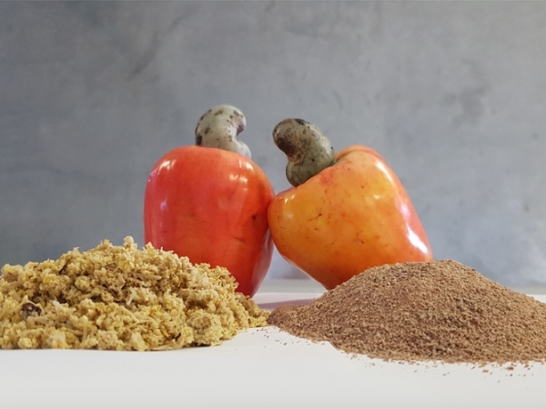 Foto: Ana Elisa Sidrim