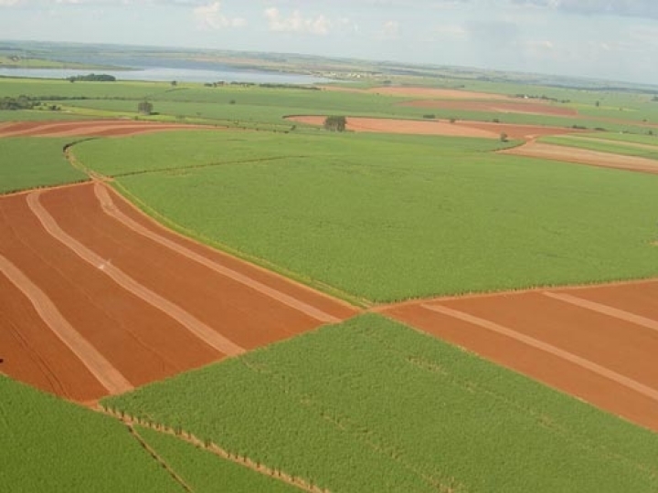 Alta da produtividade agrícola na safra 2019/2020 segue neutralizada 
