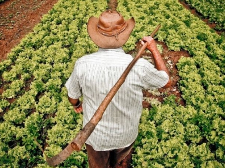 Eventos que promovem o acesso a mercados dos produtos da agricultura familiar