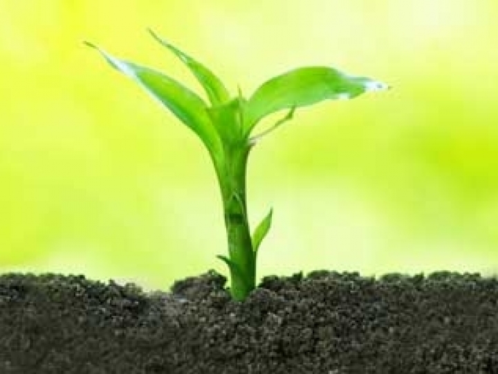 Fertilizantes orgânicos compostos no aumento da produtividade do agro brasileiro