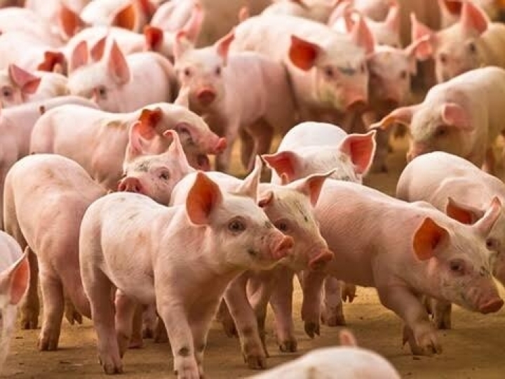 Cargill finaliza processo de aquisição da Beckers 