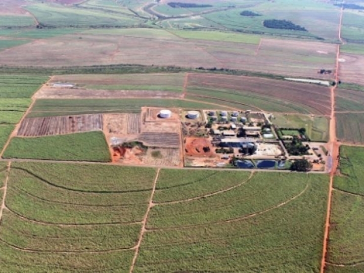 Alcoeste vai até dezembro e moerá cana mais cedo em 20/21