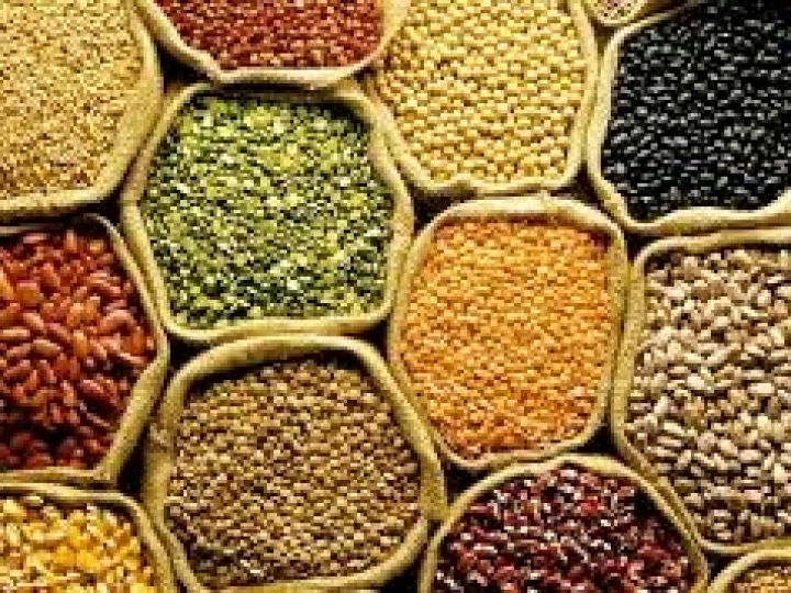 Safra de grãos 2019/2020 indica produção de 245,8 mi