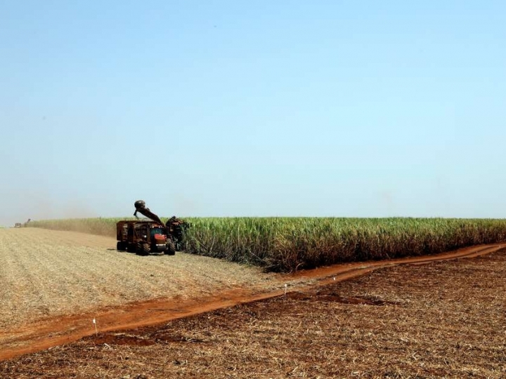 Clima favorável permite avanço da moagem no Centro-Sul