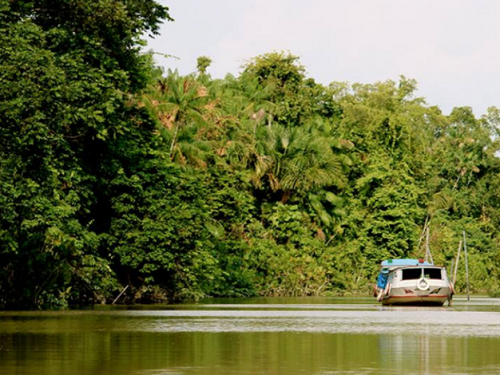 Quão bem os agricultores familiares podem viver na Amazônia