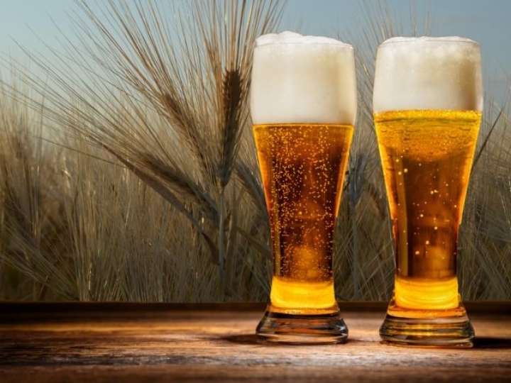 Câmara setorial para a cadeia da cerveja