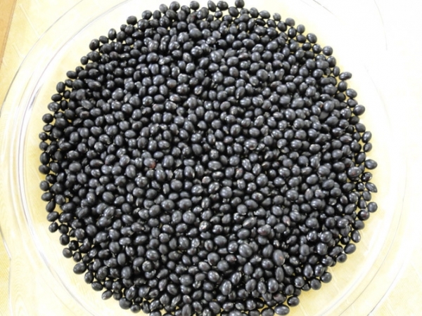 Com sabor agradável, leguminosa é capaz de substituir o feijão preto da feijoada. Foto: Ana Cristina Juhász