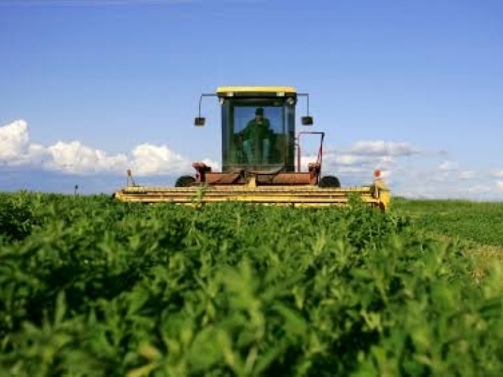Governo libera mais recursos para seguro rural em 2019