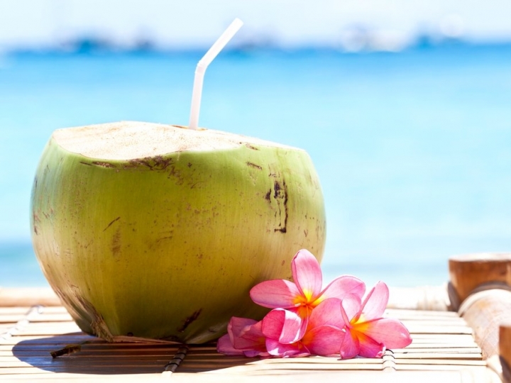 Ceará representantes da cadeia produtiva do coco